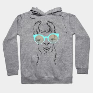 cute hipster llama in trendy colorful glasses Hoodie